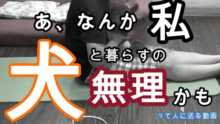 「やらないしつけ」「自立と自律」