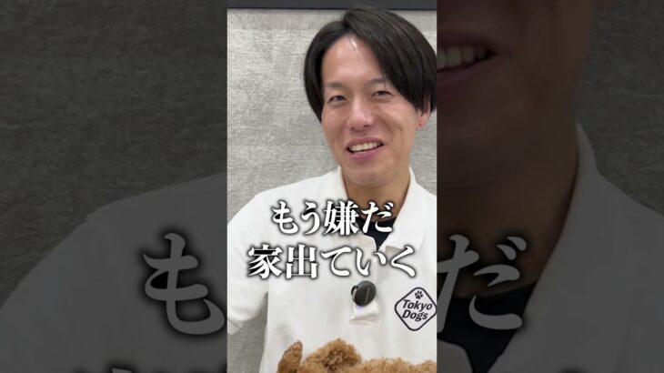 【犬しつけ】叱る時に名前はダメ!?