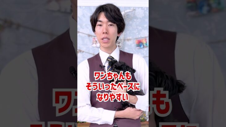 吠えるのをやめさせようとすると逆に興奮しちゃう時、どうすれば？！