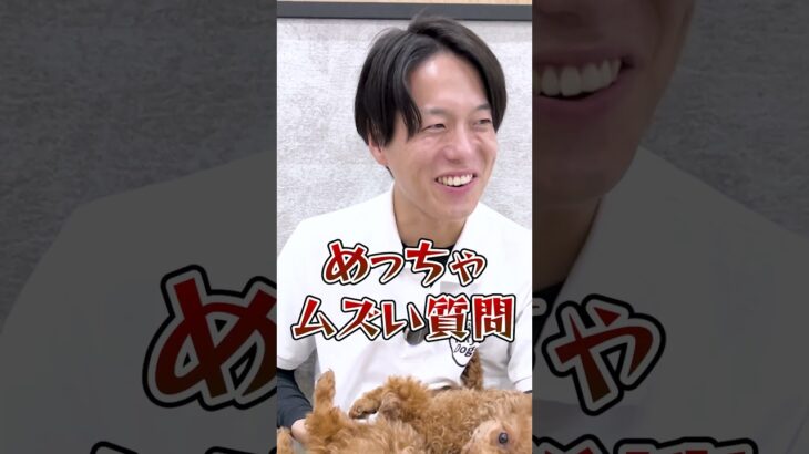 【犬しつけ】いうことを聞かない時は叱るよりコレ！