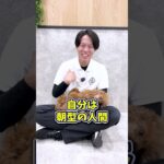 【犬しつけ】トレーニングの最適な時間帯は朝？昼？夜？