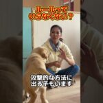 なんで家庭内で、犬とのルールが必要なんだと思いますか？#ドッグトレーナー #イヌバーシティ #子犬育て #いぬのいるくらし #しつけ #子犬のしつけ #ドッグビヘイビアリスト #犬のいる暮らし