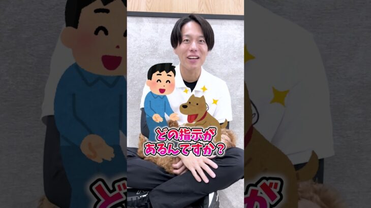 【犬しつけ】意外と知らないしつけトレーニングの終わり方