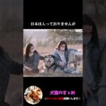 【犬税というものをご存じですか？】飼っている数に応じて支払う税金が高くなる？ #ゆっくり解説  ＃しつけ #心理学 #犬のいる生活  #愛犬
