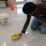 犬の幼稚園 ランディくんとトレーニング