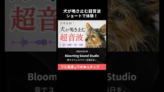 犬が鳴き止む超音波。ショートで体験！愛犬のしつけ、矯正、無駄吠え防止