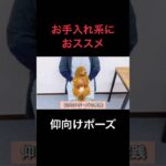 【犬 落ち着かせ方】子犬の時期に絶対に教えてほしい体勢！　犬のしつけ エマ犬アカデミー　#子犬しつけ #子犬  #落ち着かせ方
