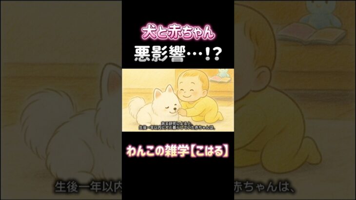 赤ちゃんと犬って相性どうなの？？どんな影響があるの？？#赤ちゃんと犬 #子育てエピソード #犬のいる暮らし #犬のいる生活 #育児あるある #犬の雑学 #犬の気持ち #犬のしつけ #犬との暮らし