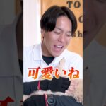 【犬しつけ】おやつ無しでしつけするには？