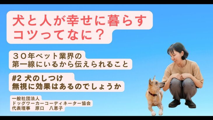 犬のしつけ「無視に効果はあるのでしょうか？」