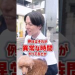 【犬しつけ】尻尾を追いかける行動は要注意です！