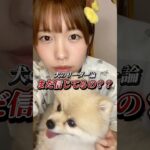 支配性理論はもう古い #ドッグトレーニング #犬のしつけ #犬