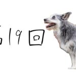 【犬のしつけ】褒めるタイミング