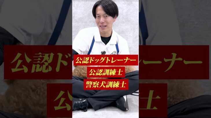 【犬しつけ】ゆうと先生の過去