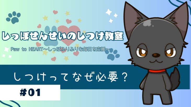 【犬のしつけ】しっぽ先生が教える！ 飼い主さんのための犬しつけ講座　＃01
