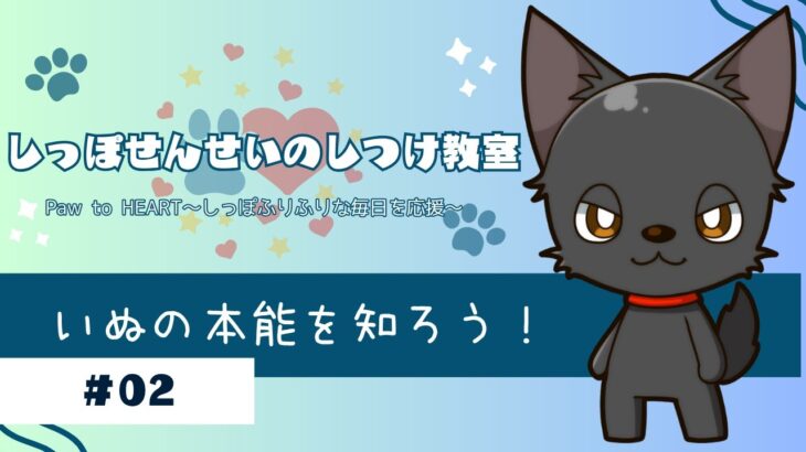 【犬の本能】群棲本能を知れば愛犬との関係が変わる！＃02