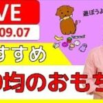 【犬 遊び】使ってる？おすすめ100円均一のおもちゃをみんなで共有しよう！