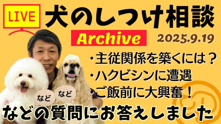 犬のしつけ相談ライブ☆ゲリラライブ【アーカイブ 2025/09/19】