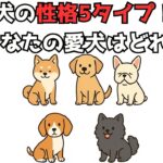 犬の性格5タイプ！あなたの愛犬はどれ？