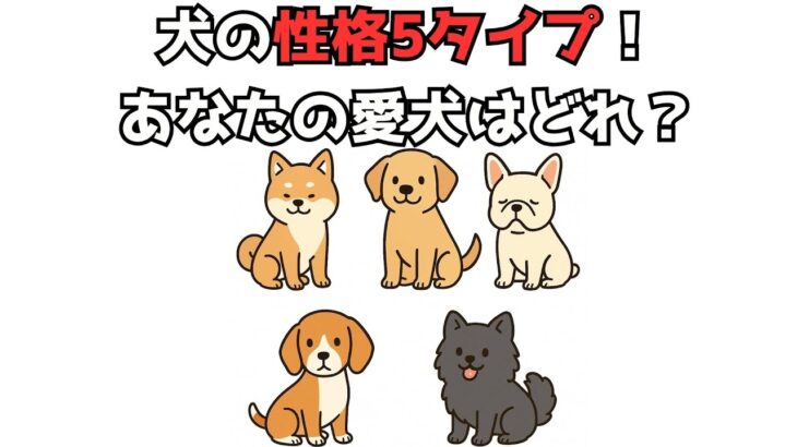 犬の性格5タイプ！あなたの愛犬はどれ？