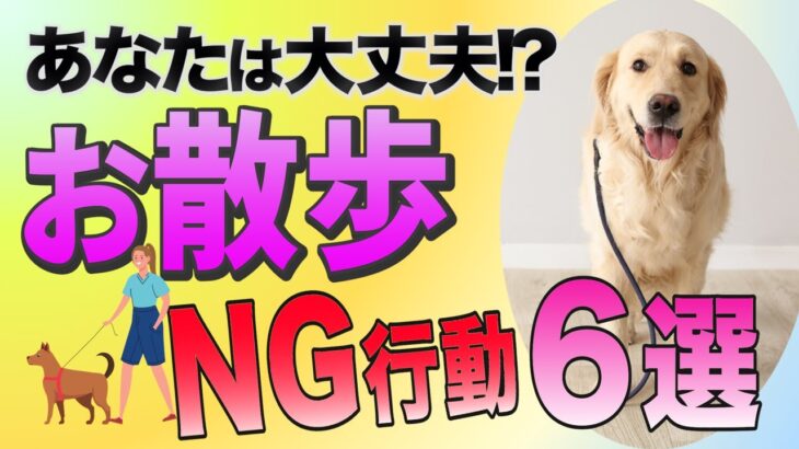 犬の散歩で絶対やっちゃダメなNG行動！