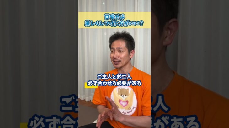 甘噛みはちょっとくらいならOK？#犬のいる暮らし #dog #shorts