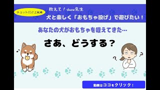 Vol.16 　犬と楽しく「おもちゃ投げ」で遊びたい ！【 あなたの犬がおもちゃを咥えてきた… さあ、どうする？】