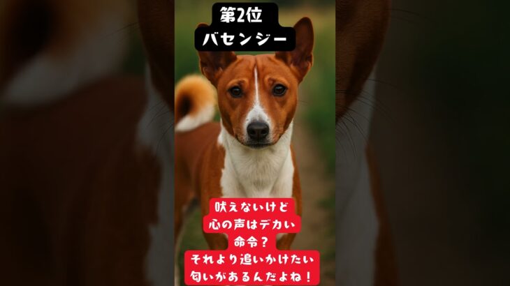 世界で最もしつけが難しい犬種、トップ５　#雑学#チワワ #犬#shorts #かわいい #感動 #ユニーク