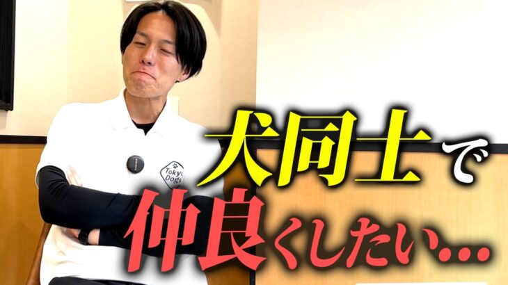 【ドッグラン】犬同士で仲良く遊ぶには…？正しいコミュニケーションをプロドッグトレーナーが解説