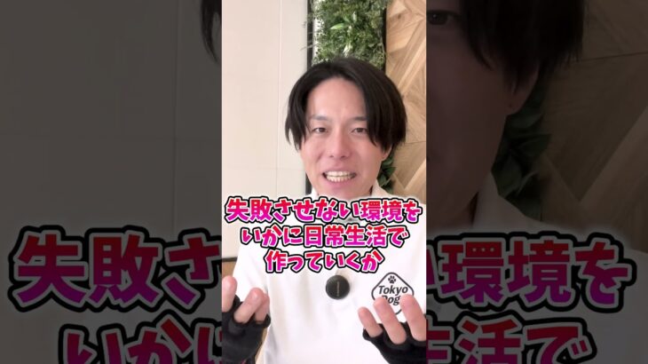 犬のトイレを成功させるには…