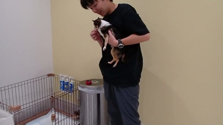 犬の幼稚園 のあくんとトレーニング