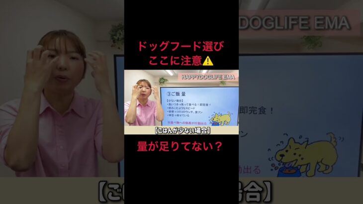 【犬 ドッグフード】結局どこのドッグフードがいいの？ドッグフード選び難民の注意点！犬のしつけエマ犬アカデミー【犬のしつけ＠横浜】 #子犬しつけ #ドッグフード選び #横浜しつけ教室