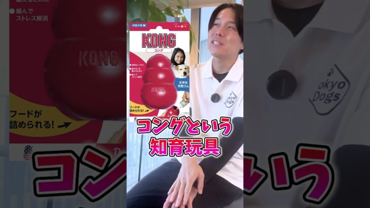 犬の甘噛みはこう治して！