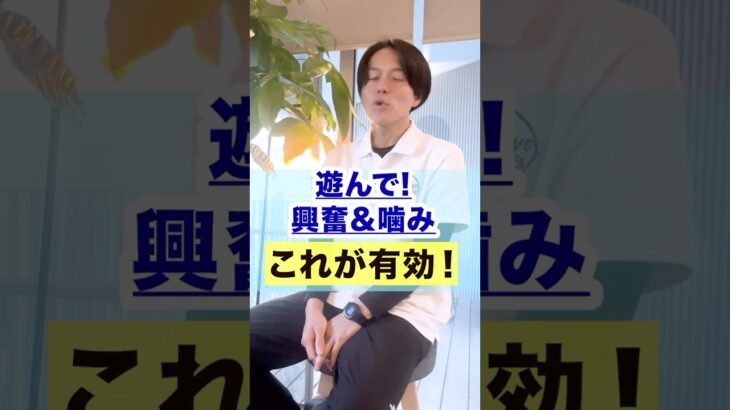 【犬しつけ】遊んで欲しい時の興奮や噛みには…