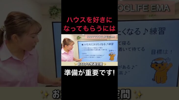 【犬 ハウス】愛犬だけの快適空間をつくろう！ハウストレーニング①犬のしつけエマ犬アカデミー【犬のしつけ＠横浜】 #子犬しつけ #横浜しつけ教室 #犬しつけ