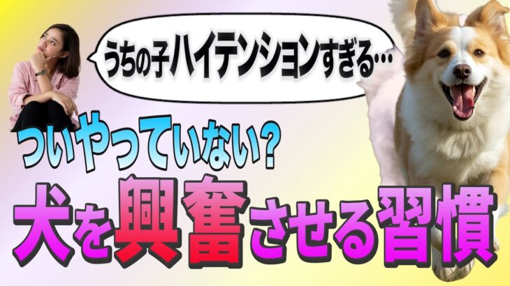 怖がりな犬も安心！おうちでできるしつけのコツ
