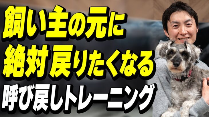 【保存版】犬が“自分から”戻りたくなる呼び戻しトレーニング