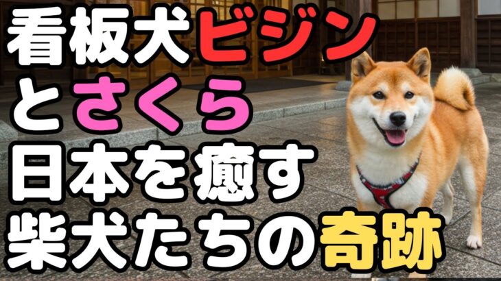看板犬ビジンちゃん＆さくらちゃん　日本を癒す柴犬たちの実話