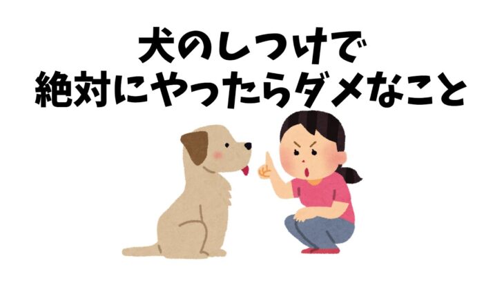 犬のしつけで絶対にやったらダメなこと