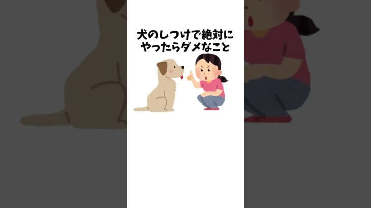 犬のしつけで絶対にやったらダメなこと　#犬 #ペット #雑学
