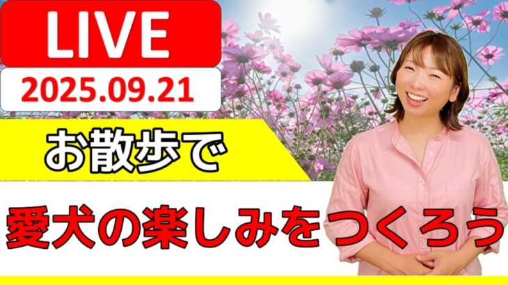 【犬 散歩】つくってる？うちの子のお散歩の楽しみを共有しよう！犬のしつけエマチャンネル【犬のしつけ＠横浜】