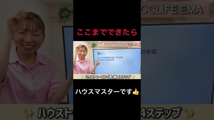 【犬 ハウス】愛犬だけの快適空間をつくろう！ハウストレーニング③犬のしつけエマ犬アカデミー【犬のしつけ＠横浜】 #子犬しつけ #横浜しつけ教室 #犬しつけ