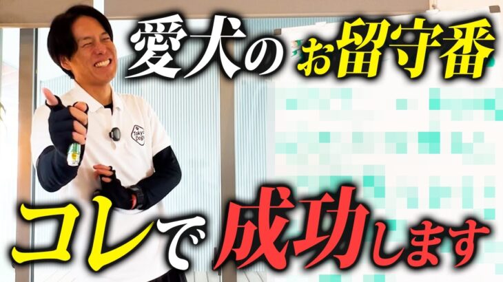 愛犬のお留守番はコレさえやれば成功します