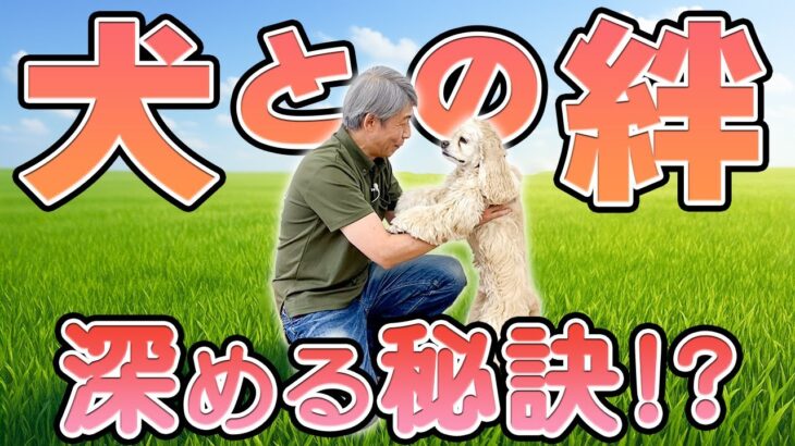 【犬のしつけ】犬との信頼関係は“動き方”で決まる！安心できる飼い主の行動とは？