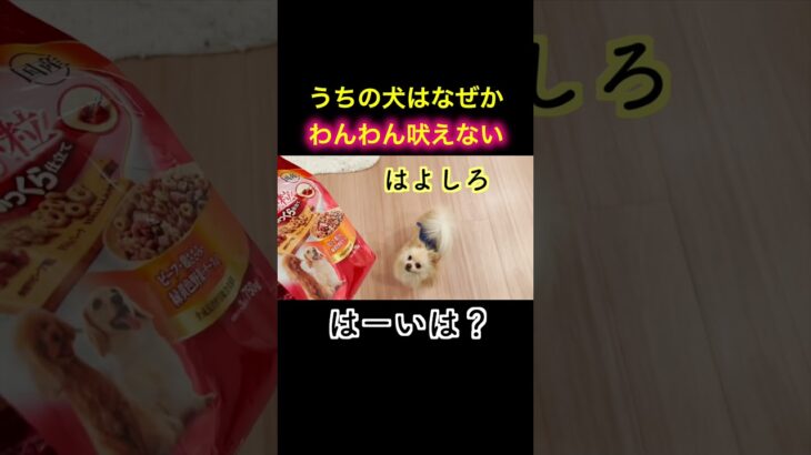 うちの犬はなぜかわんわん吠えない #喋る犬