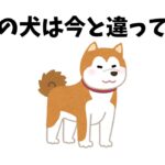 犬のしつけ、昔と今でこんなに変わった