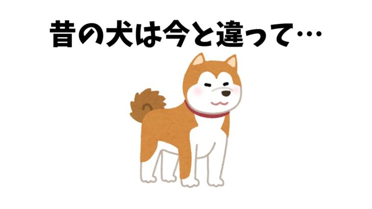 犬のしつけ、昔と今でこんなに変わった