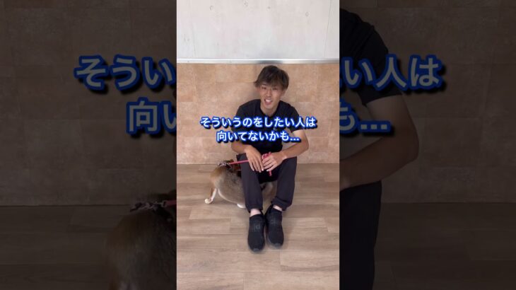 犬のしつけに困っている人はチャンネルアイコンをタップしてチャンネル登録しておいて！#ドッグトレーナー#犬のしつけ