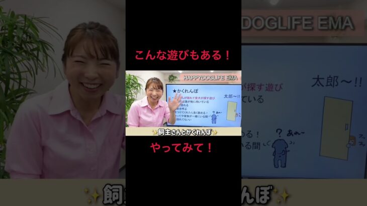 【犬 遊び方】おもちゃで遊ばない犬の遊び方！犬のしつけエマ犬アカデミー【犬のしつけ＠横浜】 #子犬しつけ#犬遊び方 #横浜しつけ教室