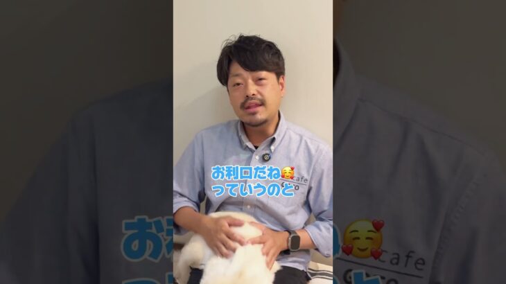 獣医師が伝えるしつけのポイント